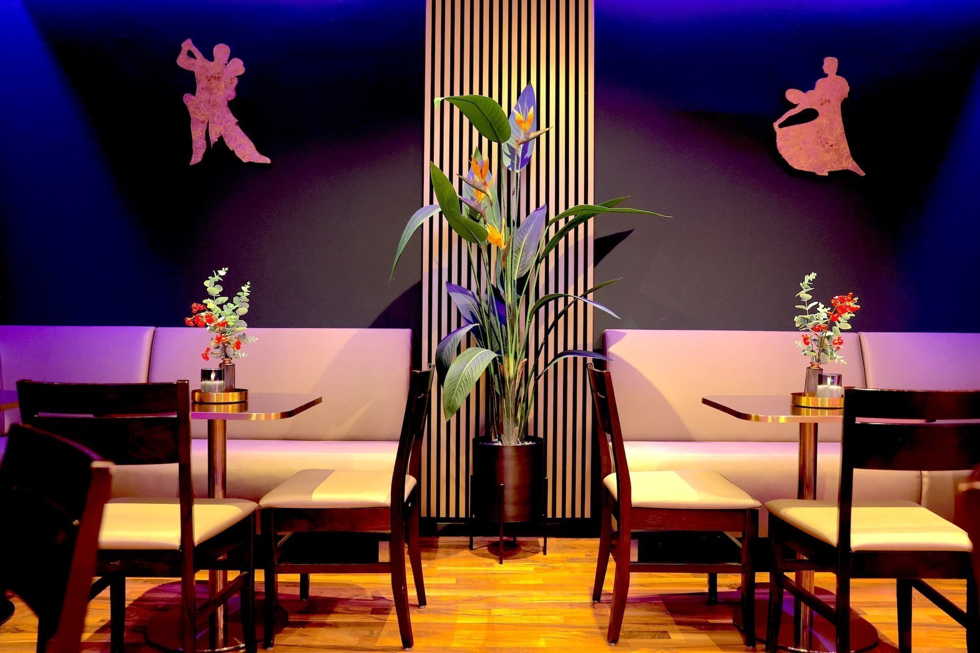 Tanzsaal 2 DANCEIMPERIAL Regensburg